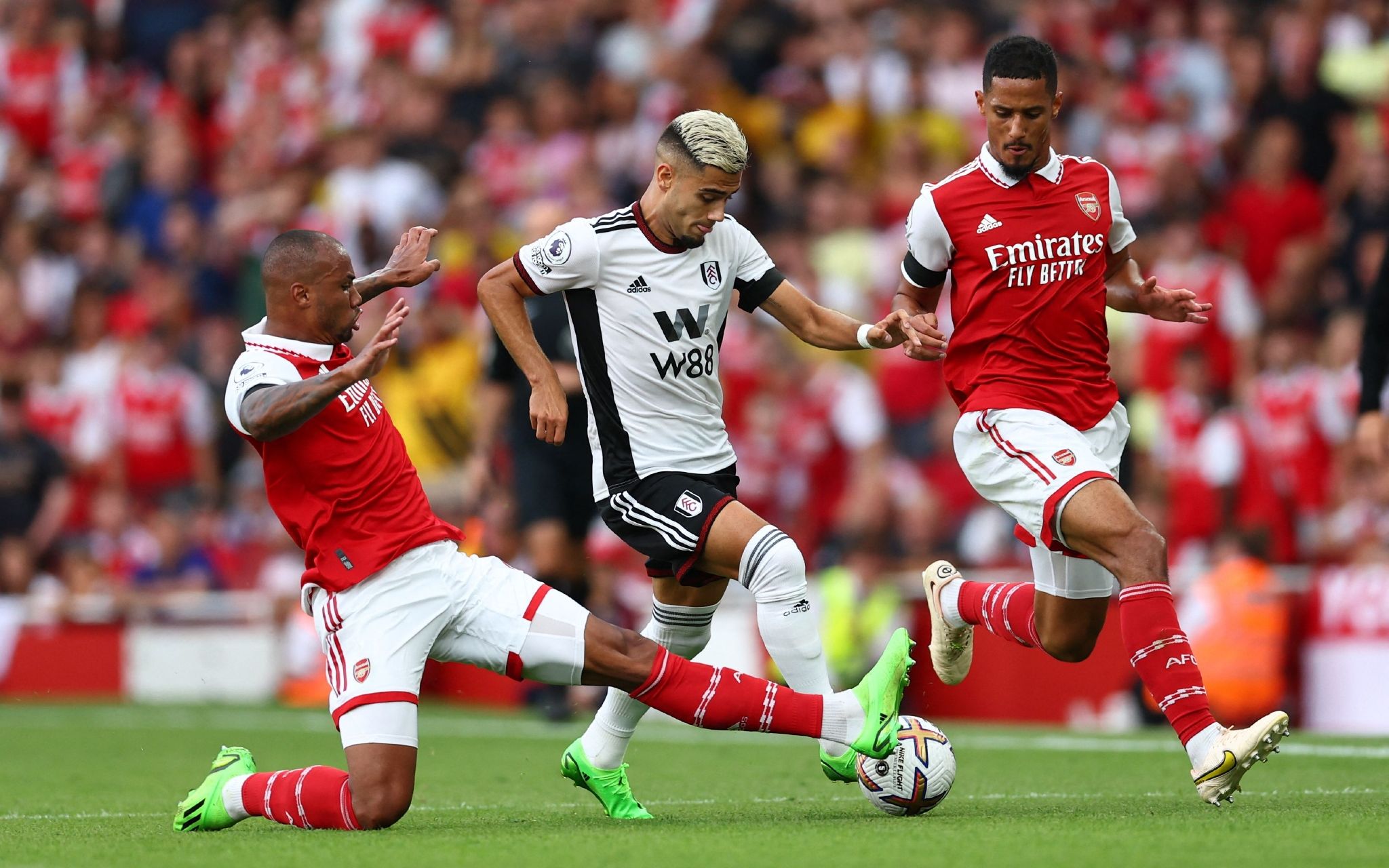 冠军至上论 冠军至上论