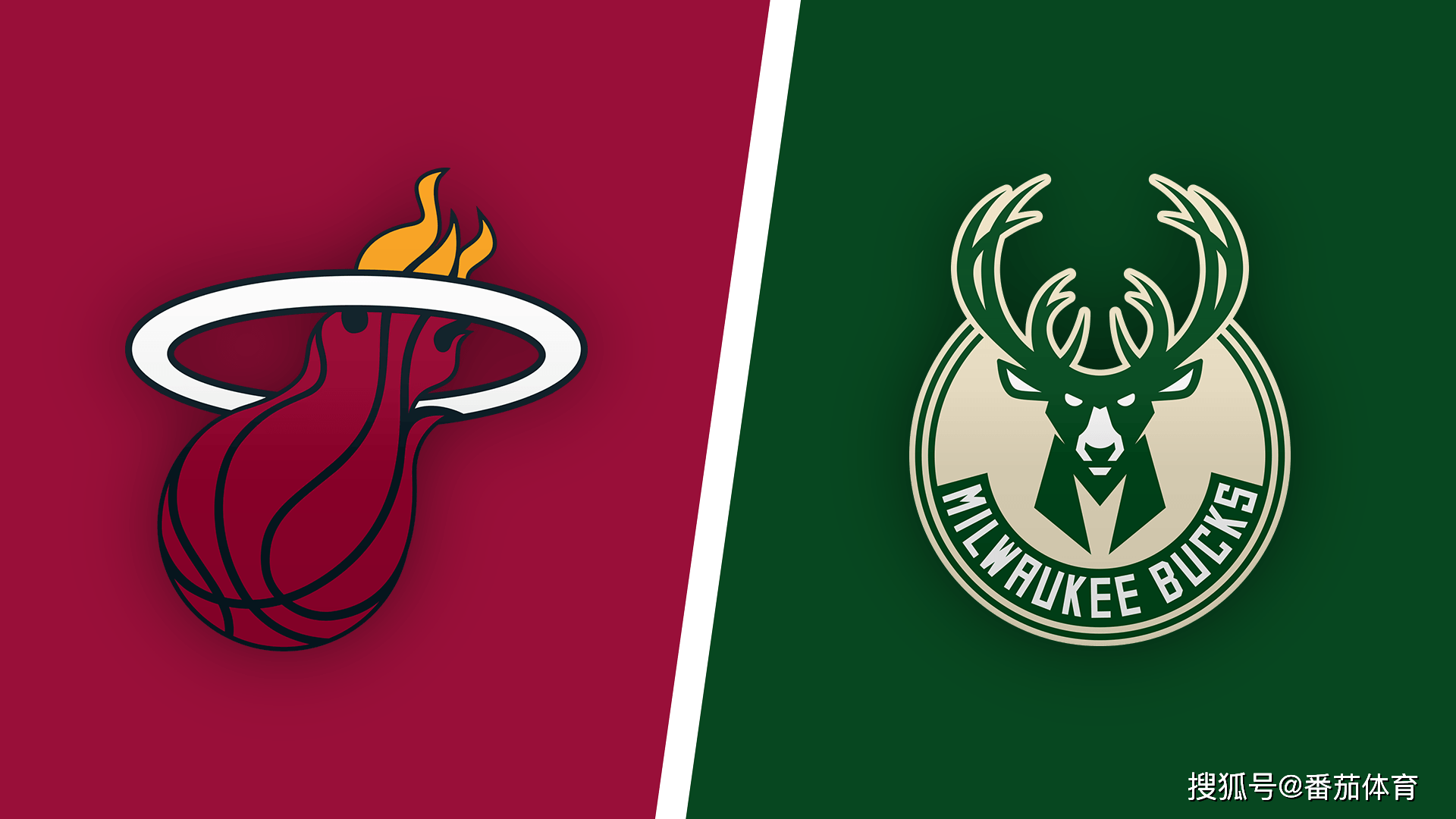 他们的经历 他们的经历