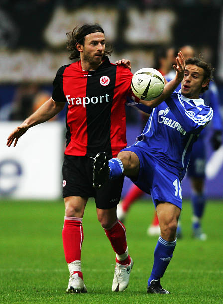 合适的替代 合适的替代